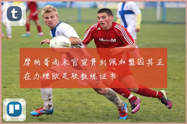 摩纳哥尚未官宣费利佩加盟因其正在办理欧足联教练证书